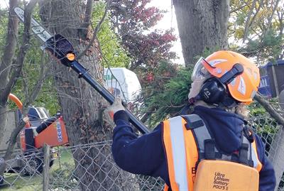 Pellenc Sellion P130 pole saw - image: HW